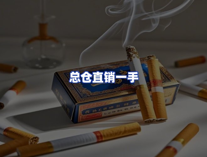 专业团队